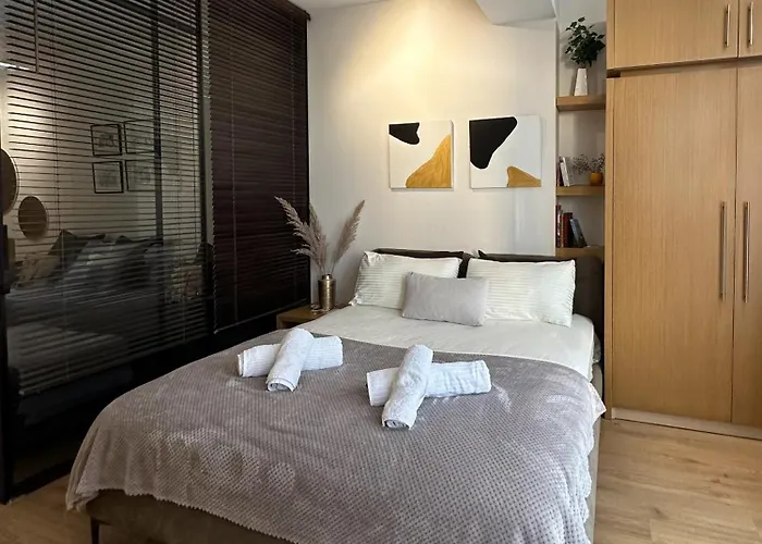 Kika Shanti, Near Artificial Apartamento