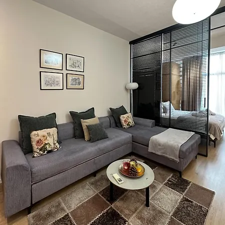 Kika Shanti, Near Artificial Appartement