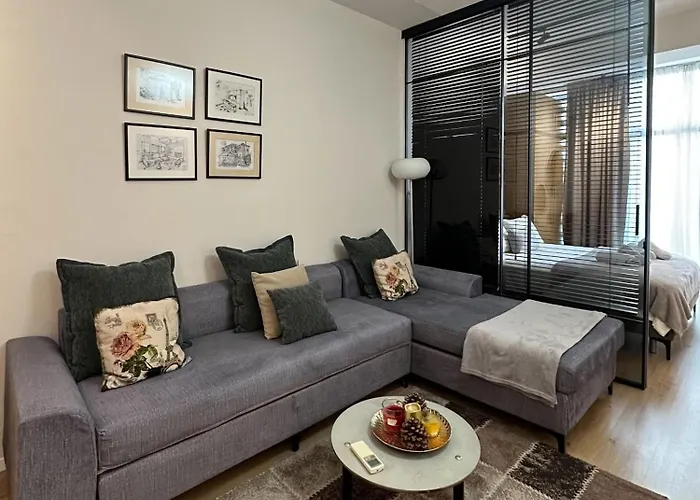 Kika Shanti, Near Artificial Appartement